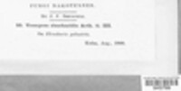 Image Associated With the Occurence